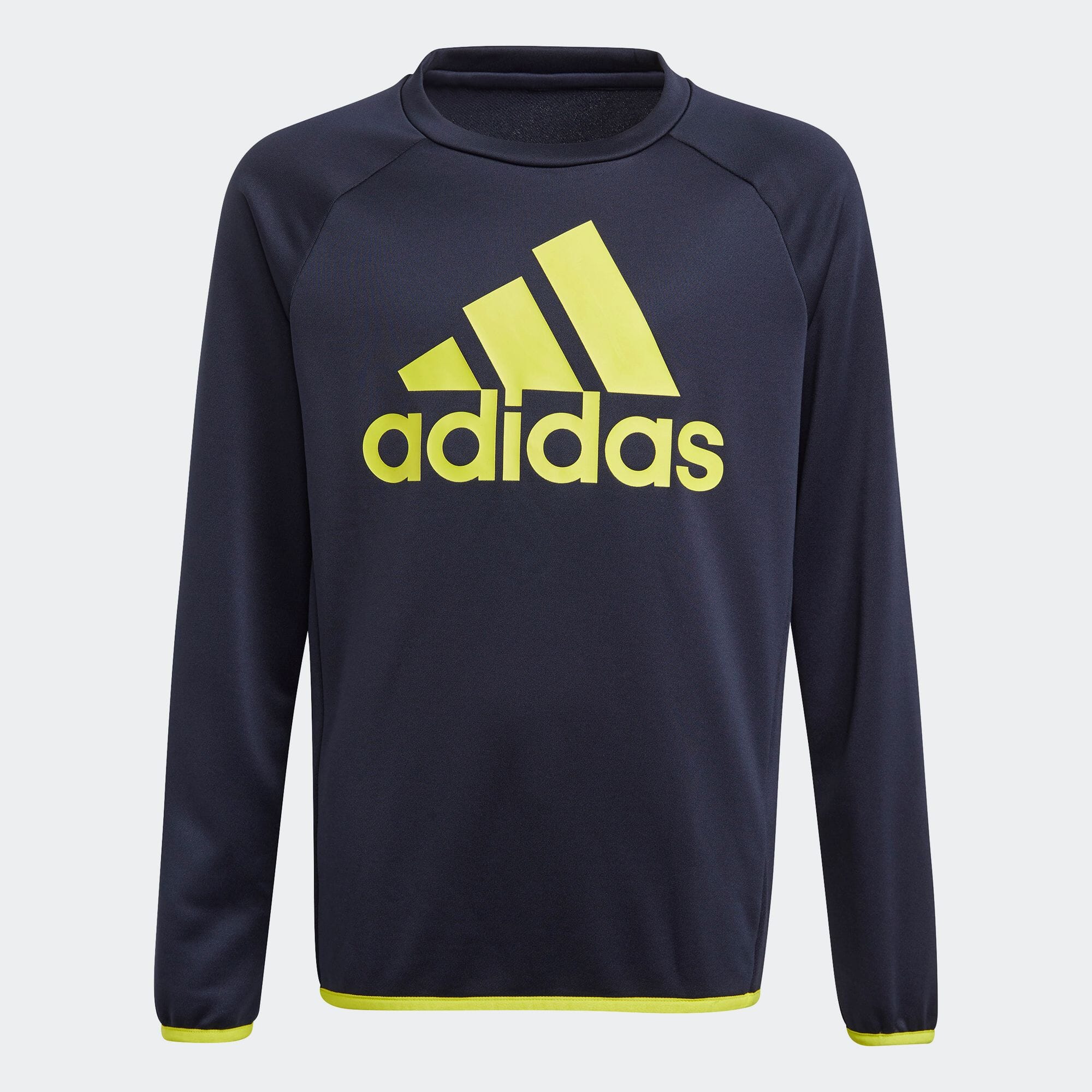 アディダス デザインド トゥ ムーブ ビッグロゴ スウェットシャツ / adidas Designed To Move Big Logo  Sweatshirt キッズ／子供用 スポーツウェア