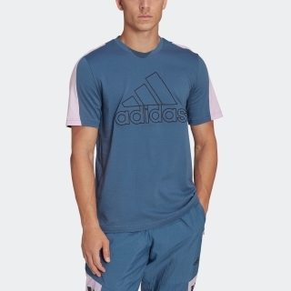 フューチャー アイコン エンブロイダリー バッジ オブ スポーツ 半袖Tシャツの画像