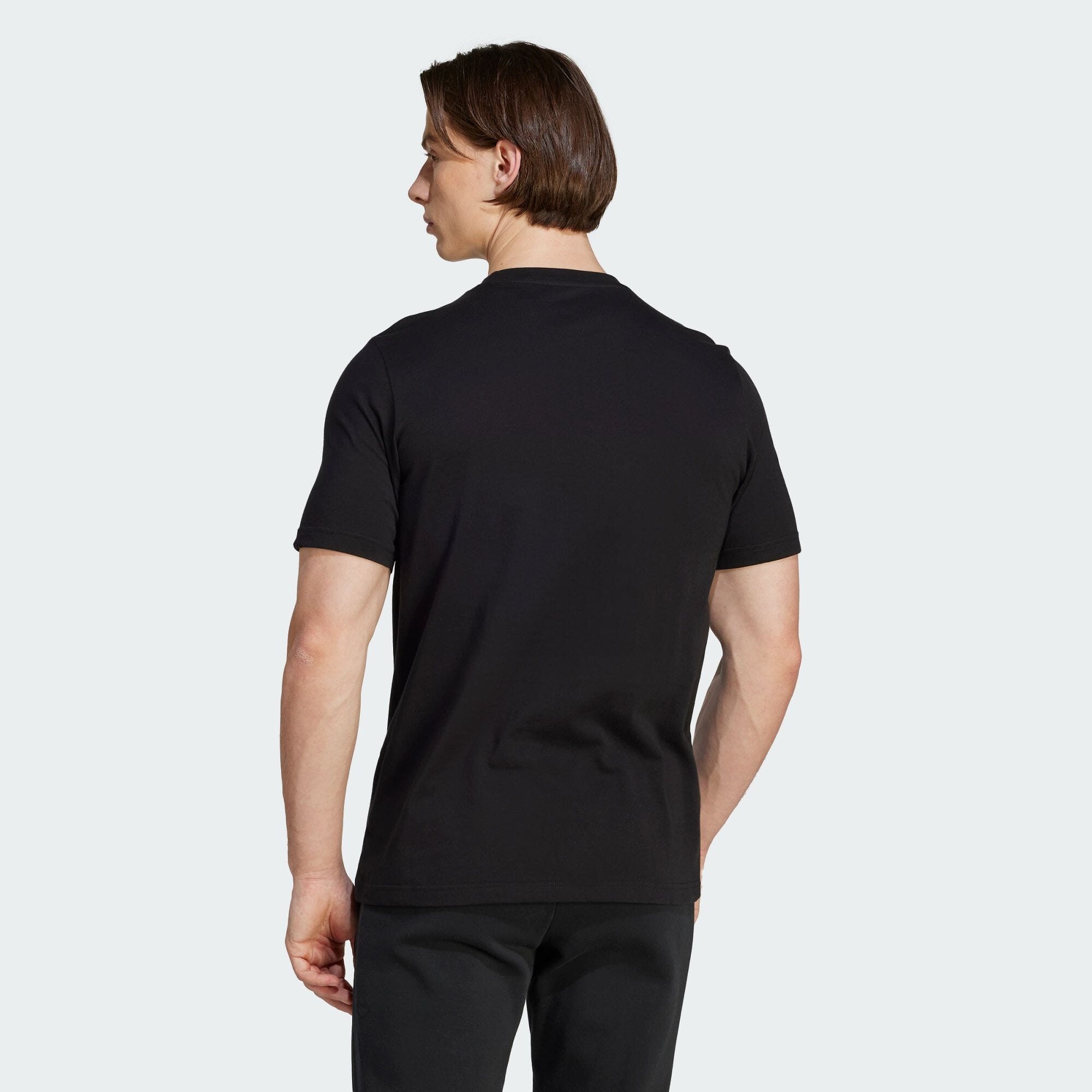 オールブラックス グラフィック 半袖Tシャツ メンズ ラグビー